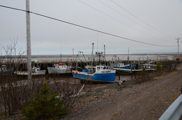 Nova Scotia Low Tide