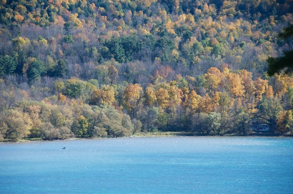 LakeOswegoFoliage2