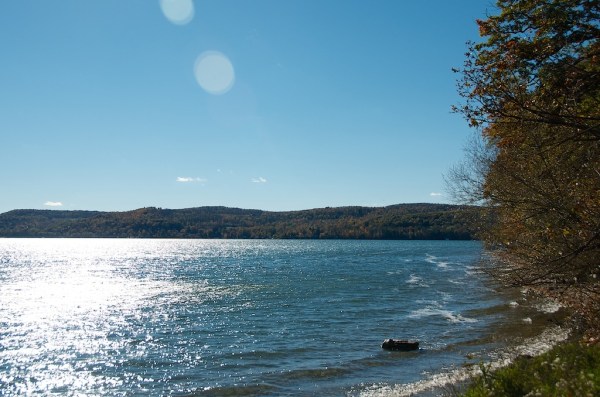 LakeOswegoFoliage3