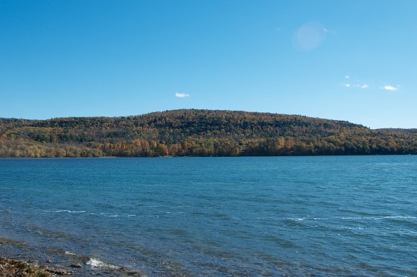 LakeOswegoFoliage4