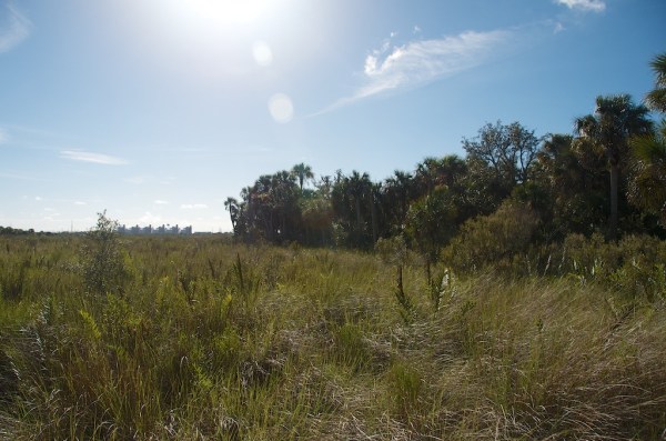 CaloosahatcheeView1 027