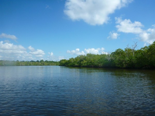 EsteroRiver1 068.jpg EsteroRiver1 068