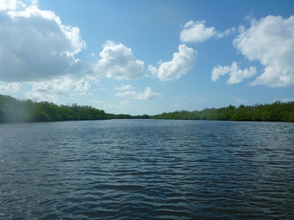 EsteroRiver2 069.jpg EsteroRiver2 069