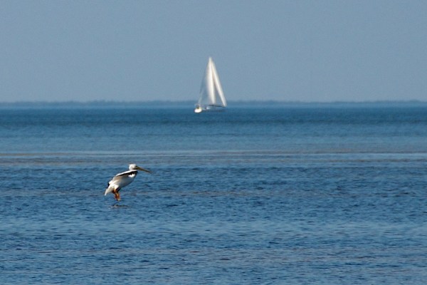 NorthCapeFlatsPelicanLanding 065