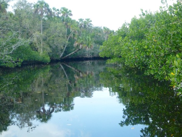 NaplesKayakSlough1