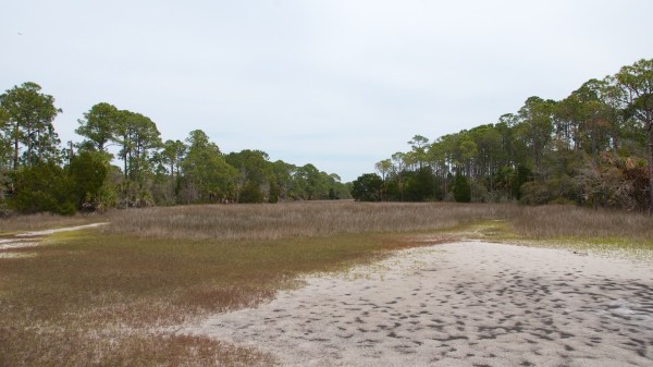 CedarKeyGrassland1