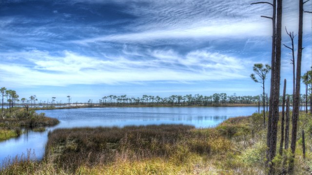 GulfStateGatorLakeHDR1