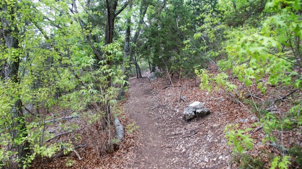 BalconesNWRWarblerVistaTrail