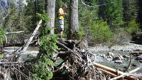 GlacierNPNoNameFallsNeilPerch.jpg GlacierNPNoNameFallsNeilPerch