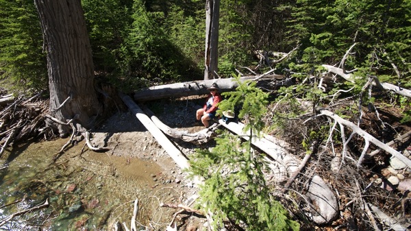 GlacierNPNoNameFallsResting.jpg GlacierNPNoNameFallsResting