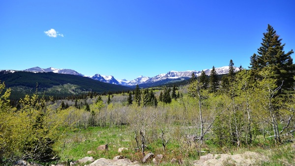 GlacierNPVistaCloser.jpg GlacierNPVistaCloser