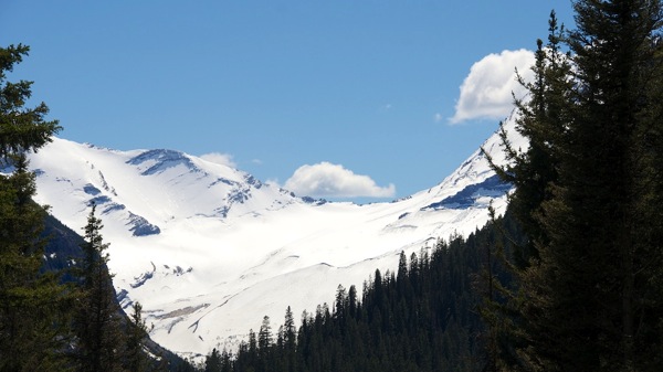 GlacierNPWildJacksonGlacier.jpg GlacierNPWildJacksonGlacier