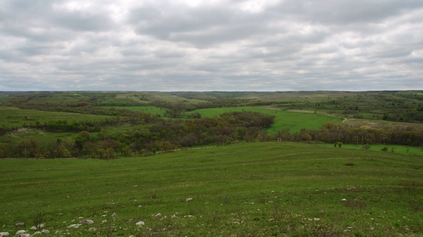 KonzaPrairieKansasPrairie