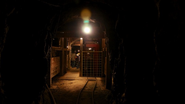 MollyKitchenMineElevator