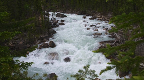 BanffNPKickingHorseRiver1  1