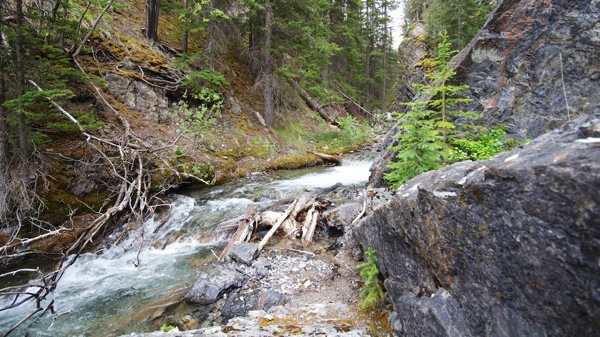 BanffNPSundanceCanyon4a