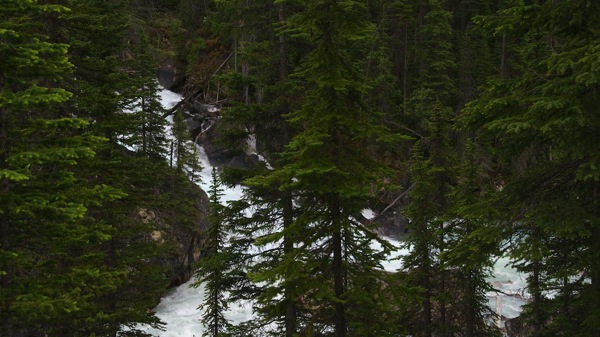 BanffNPYohoRiverConfluence