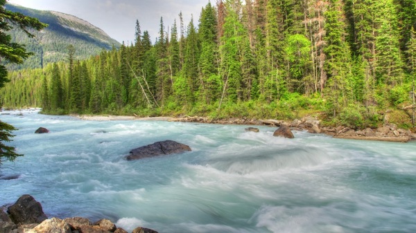 BanffNPYohoRiverRapids