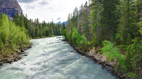 BanffNPYohoRiverRapids2