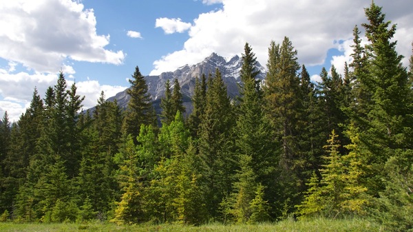 BanffNTunnelMtSite841View