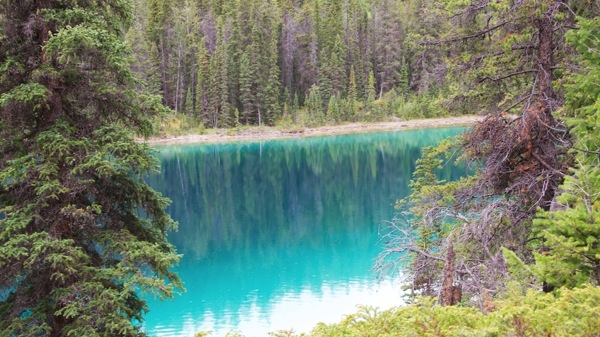 JasperNP5Lakes#1.2.jpg JasperNP5Lakes 1 2