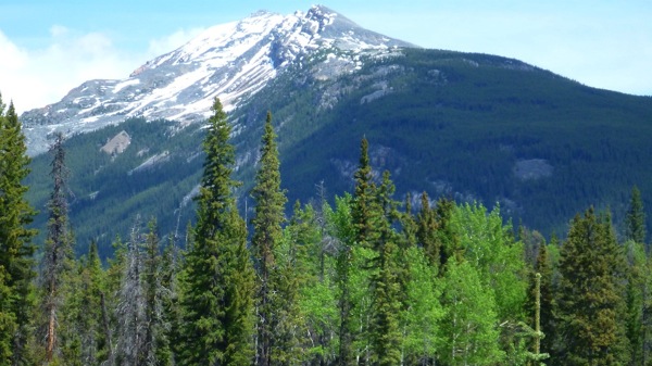 JasperNPArtsyMountainPhoto.jpg JasperNPArtsyMountainPhoto