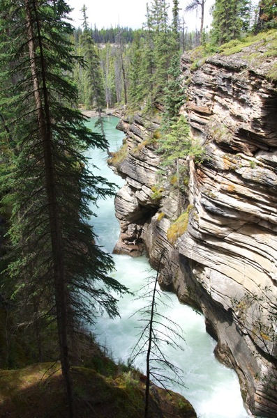 JasperNPAthabascaFallsCanyon.jpg JasperNPAthabascaFallsCanyon