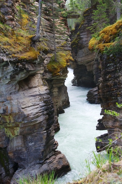 JasperNPAthabascaFallsCanyon2.jpg JasperNPAthabascaFallsCanyon2