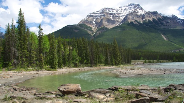 JasperNPAthabascaFallsDownstream.jpg JasperNPAthabascaFallsDownstream