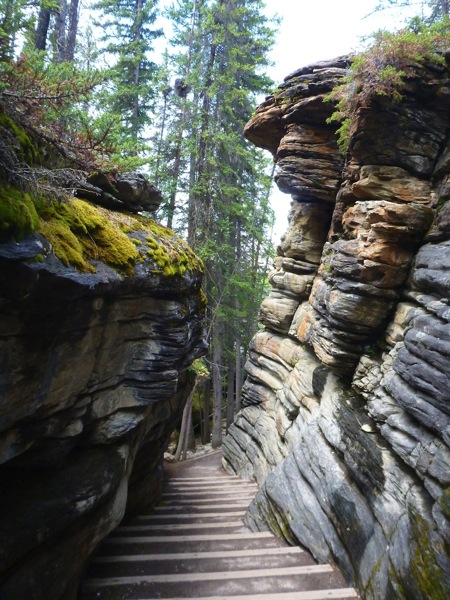 JasperNPAthabascaFallsOldCanyon.jpg JasperNPAthabascaFallsOldCanyon