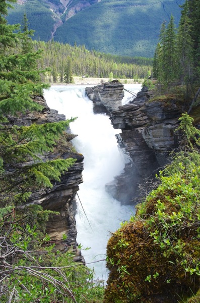 JasperNPAthabascaFallsOverview.jpg JasperNPAthabascaFallsOverview