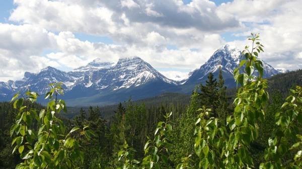 JasperNPAthabascaPass.jpg JasperNPAthabascaPass