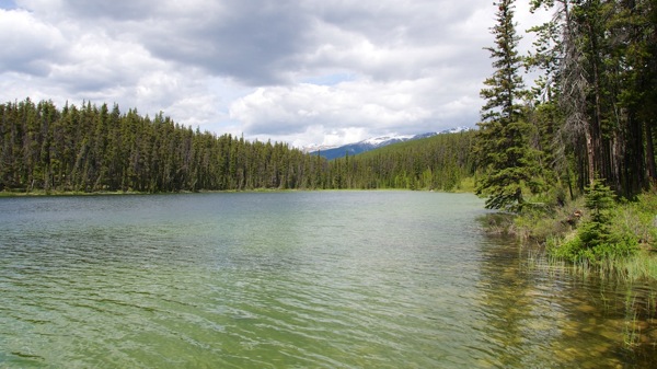 JasperNPHighway93ALake.jpg JasperNPHighway93ALake