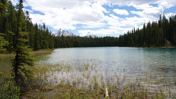 JasperNPLorraineLakeVista