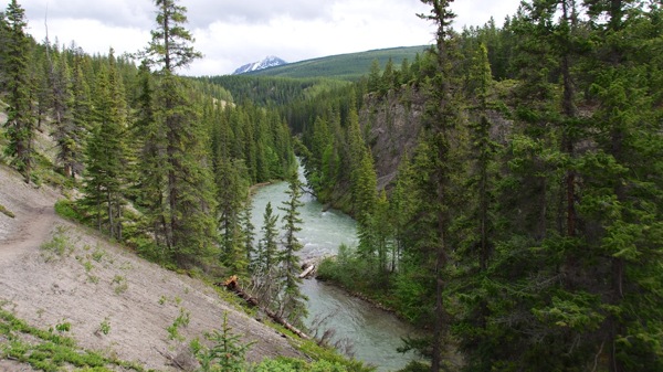 JasperNPMaligne10.jpg JasperNPMaligne10