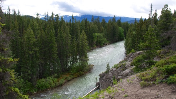 JasperNPMaligne11.jpg JasperNPMaligne11