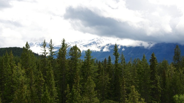 JasperNPMaligne12.jpg JasperNPMaligne12