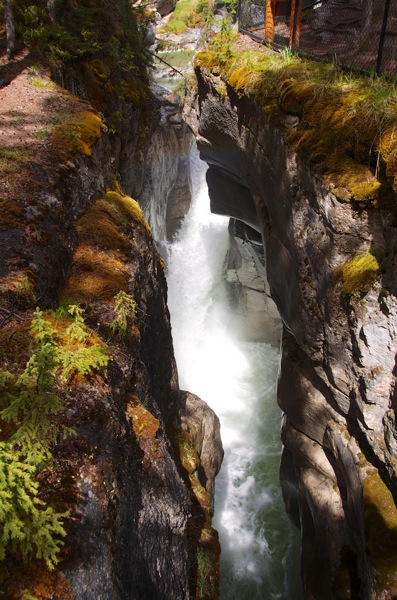 JasperNPMaligne2.jpg JasperNPMaligne2