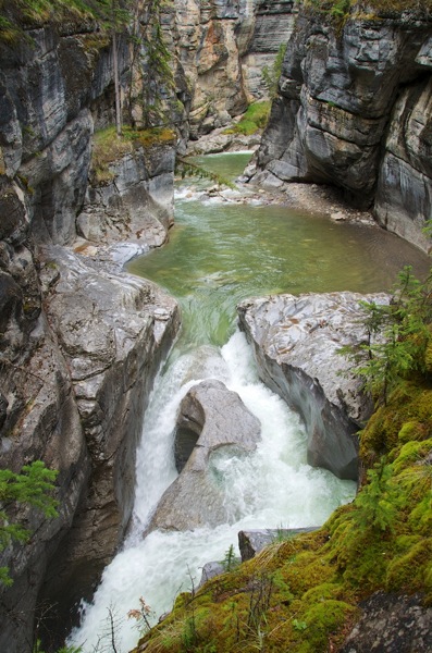 JasperNPMaligne3.jpg JasperNPMaligne3