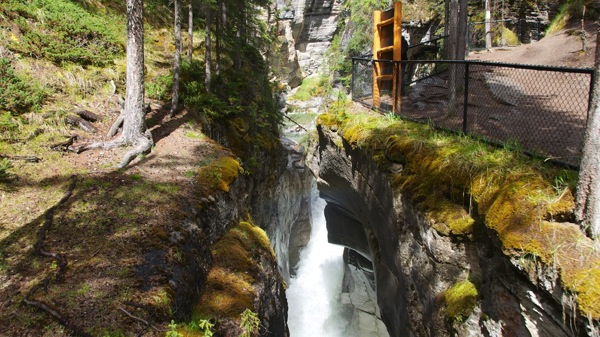 JasperNPMaligne4.jpg JasperNPMaligne4