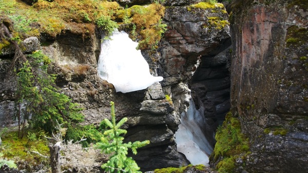 JasperNPMaligne5.jpg JasperNPMaligne5