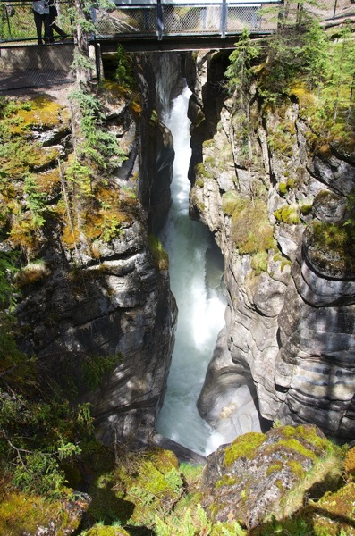 JasperNPMaligne6.jpg JasperNPMaligne6