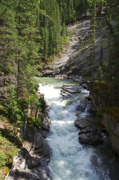 JasperNPMaligne7.jpg JasperNPMaligne7