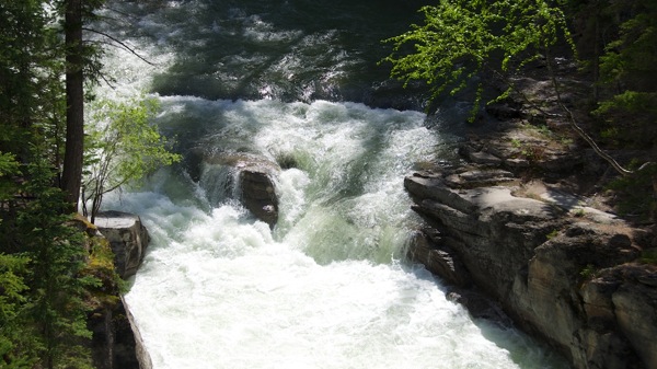 JasperNPMaligne9.jpg JasperNPMaligne9