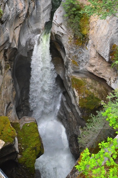 JasperNPMaligneCanyonBridge1Falls.jpg JasperNPMaligneCanyonBridge1Falls