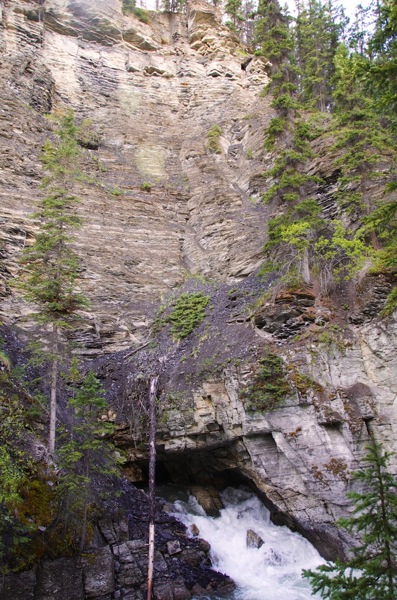 JasperNPMaligneSpring2.jpg JasperNPMaligneSpring2