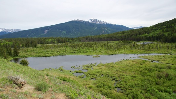 JasperNPPatriciaLakeSlough