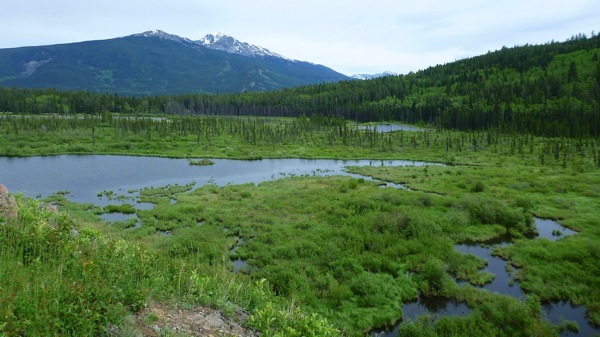 JasperNPPatriciaSlough2