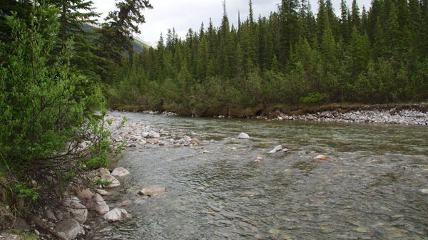 JasperNPSafariMaligneRiver1