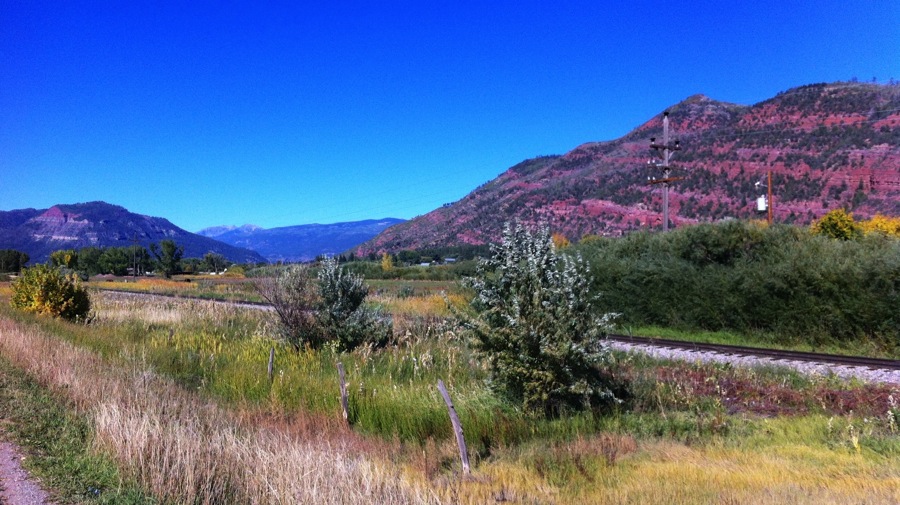 IMG_1101.jpg IMG 1101